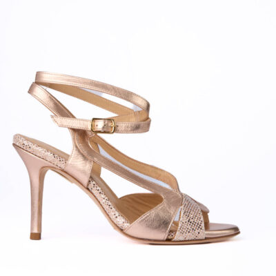 tango shoe.jpg 63 KB