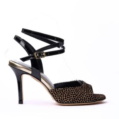 tango shoe.jpeg 64KB