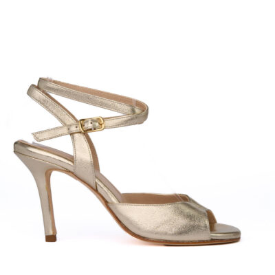 tango shoe.jpg 57 KB