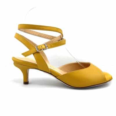 Tango Shoe low heel. jpg 150 KB