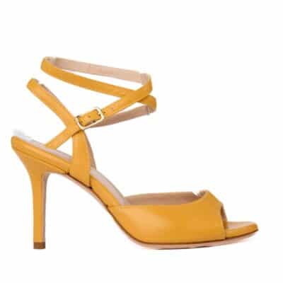 tango shoe.jpeg 100KB