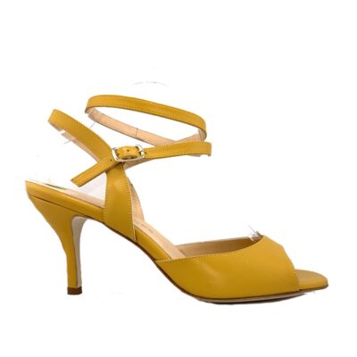 tango shoe.jpeg112KB