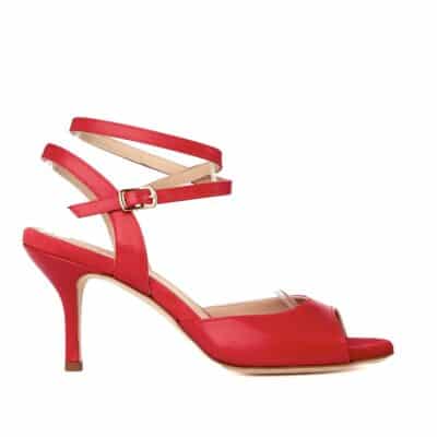 tango shoe.jpeg 84 KB