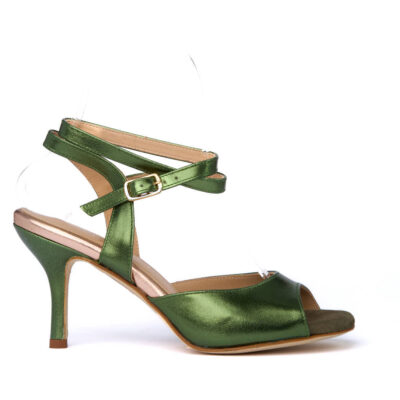 tango shoe.jpeg 57KB